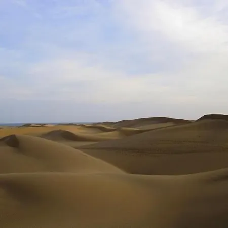 Seven & Wellness - Gay Men Only Hotel Maspalomas (Gran Canaria)